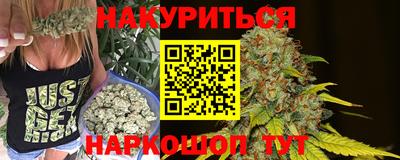 Альфа ПВП Моздок