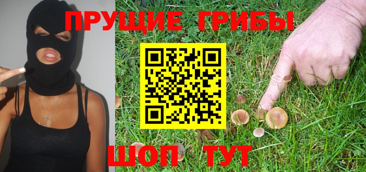 Псилоцибиновые грибы Psilocybe  Галлюциногенные грибы Cubensis  Вход с VPN  Бугуруслан 